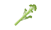 茎ブロッコリー 茎ブロッコリー
