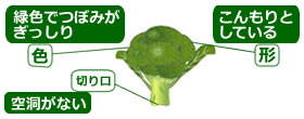 選び方