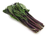 紫折菜（むらさきおりな）