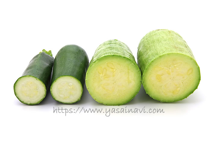 マッチャン ズッキーニ型韓国かぼちゃ ズッキーニ 味の感想や特徴など 野菜ブログ
