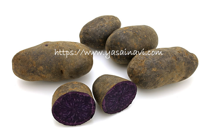 ノーブルシャドー