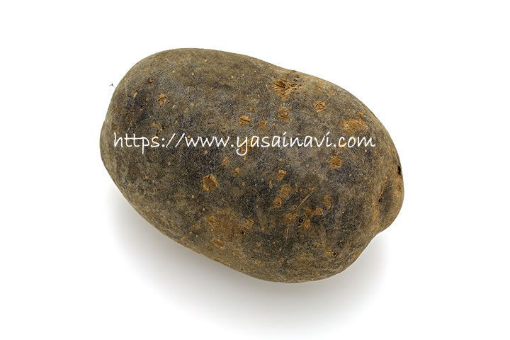 ノーブルシャドー