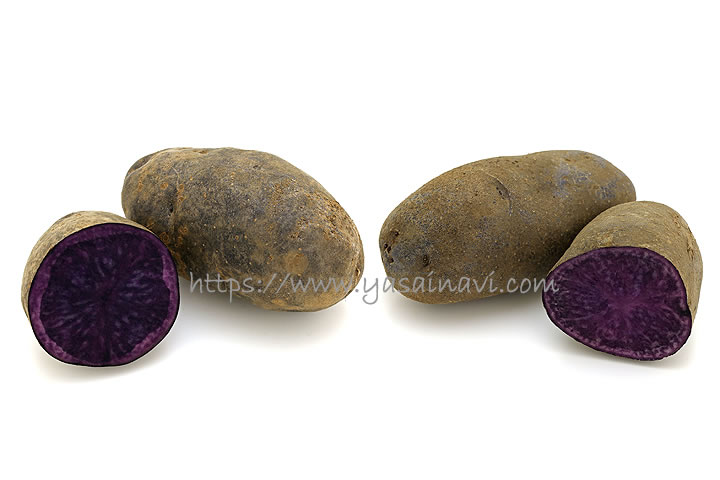 ノーブルシャドー