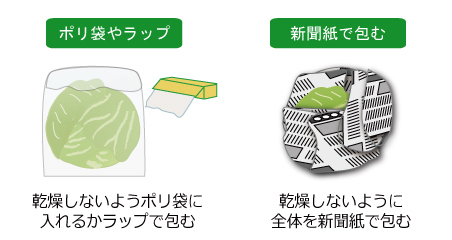 キャベツの保存方法 野菜コラム