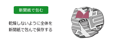 さつまいもの保存方法 野菜コラム