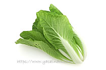 タイニーシュシュ