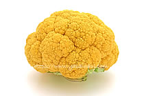 オレンジブーケ