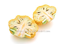 オレンジブーケ