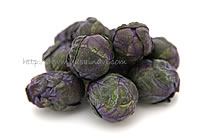 紫芽キャベツ