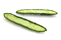 惚ろにがうり