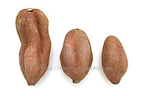 ミエルスイート