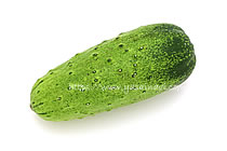 わんぱく坊主