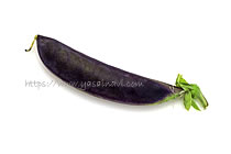 パープルスナップ 藤姫