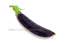 パープルスナップ 藤姫