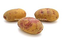 タワラアルタイル彦星