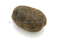 ノーブルシャドウ