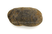 ノーブルシャドウ