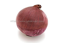 高ケルセチン紫たまねぎ