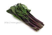 紫折菜