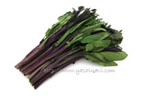紫折菜