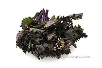 紫ケール菜花