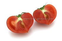 ファーストトマト