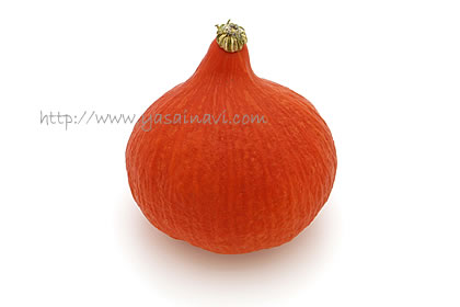 赤皮栗かぼちゃ 打木赤皮甘栗 ｜かぼちゃ カボチャ 南瓜 品種の特徴