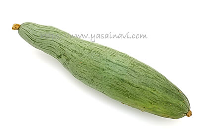 ごっちゃん長南瓜