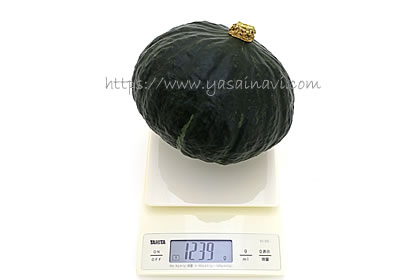 九重栗（黒王）