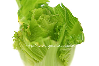 博多蕾菜 博多蕾菜