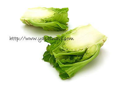 博多蕾菜 博多蕾菜