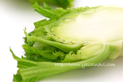 博多蕾菜 博多蕾菜