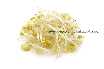大豆もやし 大豆もやし