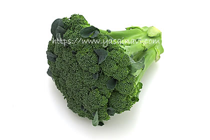 スイートブロッコリー