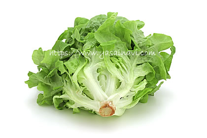 バタビアレタス