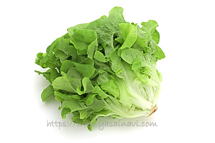 バタビアレタス
