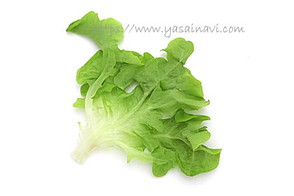 バタビアレタス