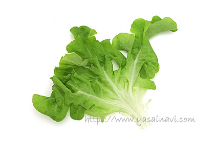 バタビアレタス