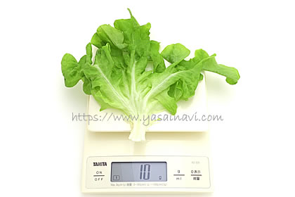 バタビアレタス