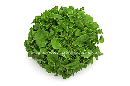 ニューれたす菜