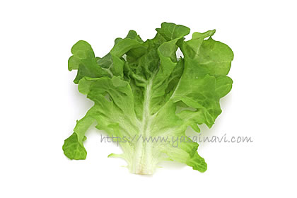 ニューれたす菜