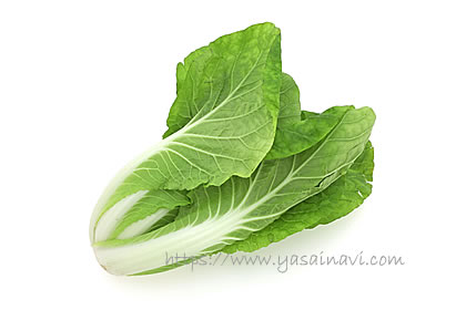 タイニーシュシュ