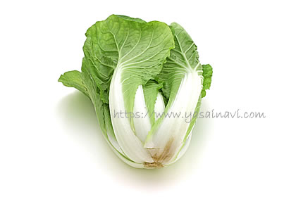 タイニーシュシュ