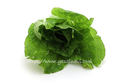 タイニーシュシュ