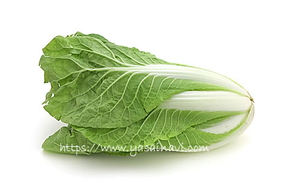 タイニーシュシュ