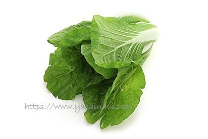 タイニーシュシュ