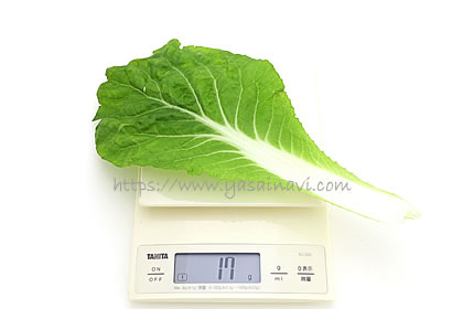 タイニーシュシュ