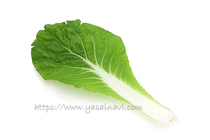 タイニーシュシュ