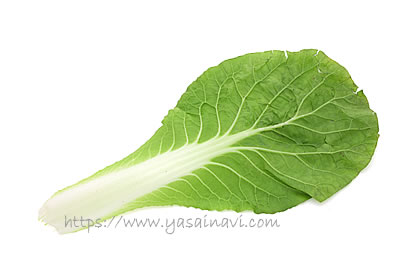 タイニーシュシュ