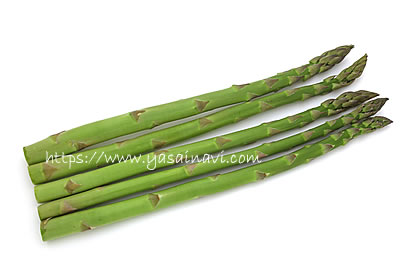 ゼンユウガリバー